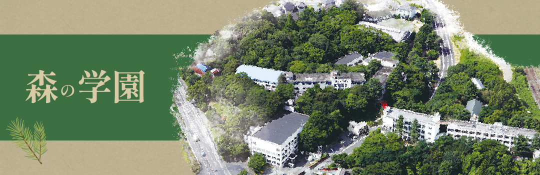 森の学園